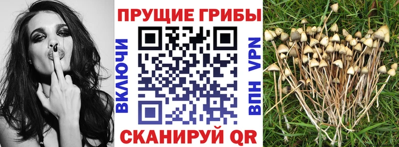 Галлюциногенные грибы мухоморы гидра ССЫЛКА Белгород